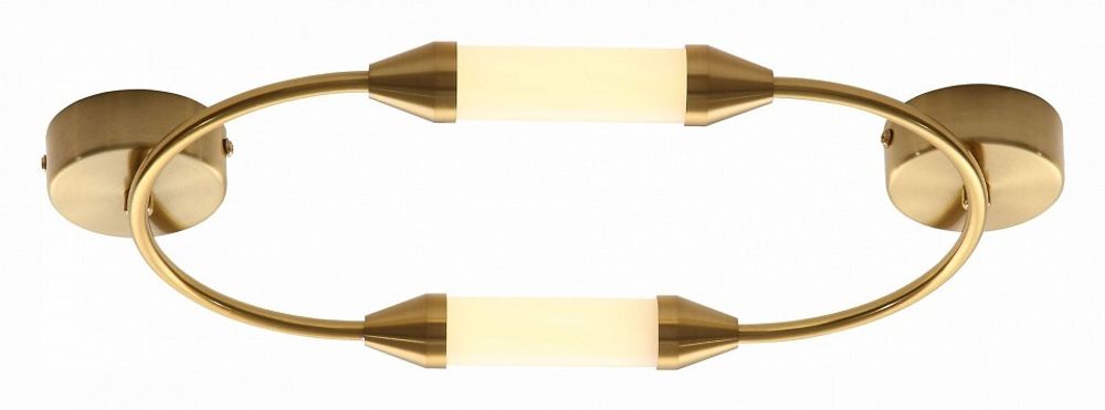 Накладной светильник ST-Luce Olbia SL6004.301.02