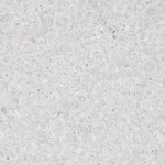 Японский бисер TOHO Demi 11/0 (№1), прозрачный глянцевый