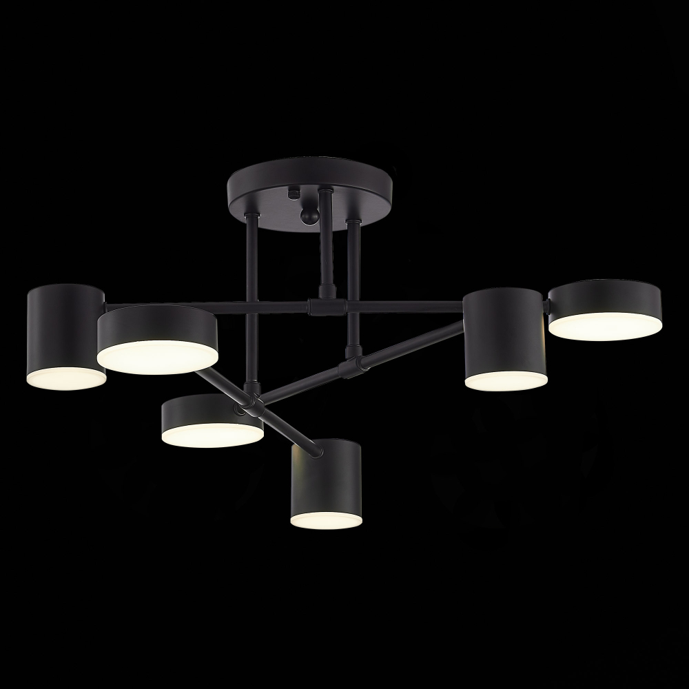 Светильник потолочный Evoluce Nobel SLE201042-06