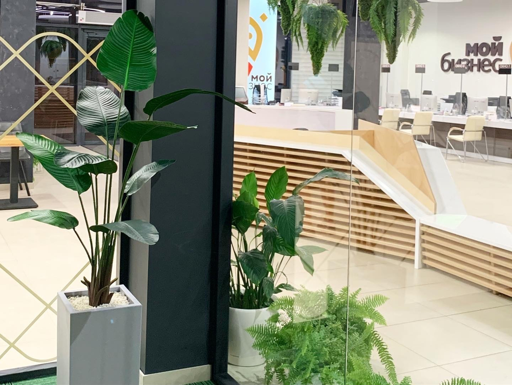 20.05. Озеленение искусственными растениями офисного пространства "Фонда развития бизнеса Краснодарского края в инновационном центре "Аквариум"