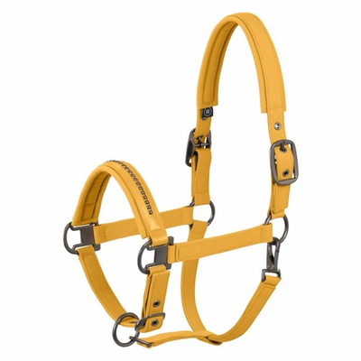 Недоуздок TGW riding