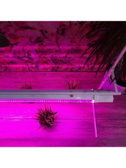 Подставка для Фитолампы