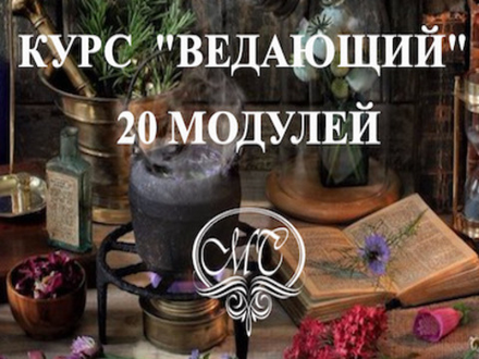 Курс «Ведающий»