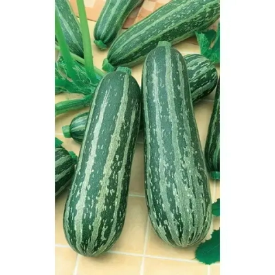 Семена Кабачок Зебра - цуккини (Марс) 2гр Б/П