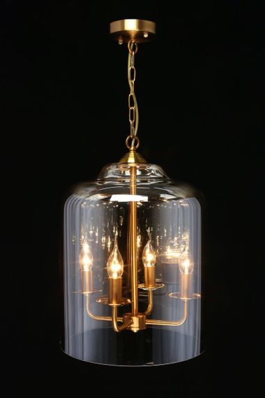 Подвесная люстра Aployt Polin APL.603.06.06