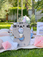 Cat Pusheen Party