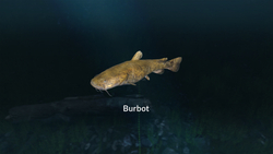 Ultimate Fishing Simulator - New Fish Species (для ПК, цифровой код доступа)