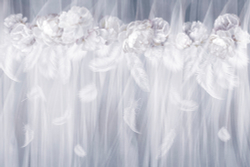 Коллекция Flower dreams 2