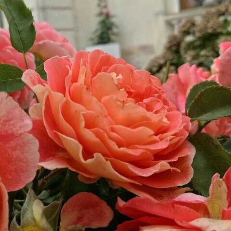 Шато де ля Галуазье (Chateau De La Galoisiere)