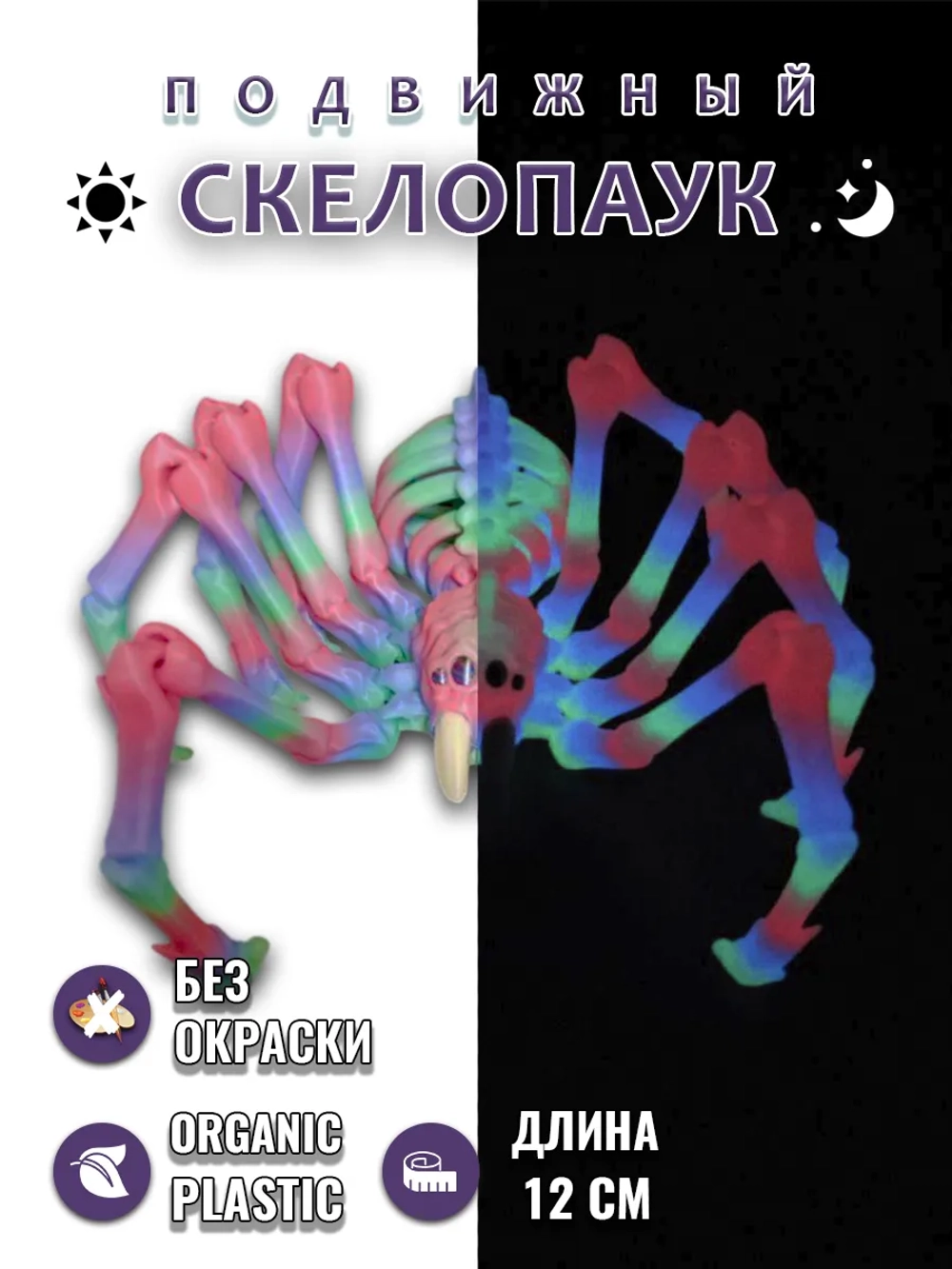 Скелет Паук