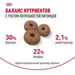 Royal Canin Giant Starter Mother & Babydog Джайнт Стартер Мазе энд Бебидог Корм для щенков гигантских пород в период первой фазы и отъема 15кг