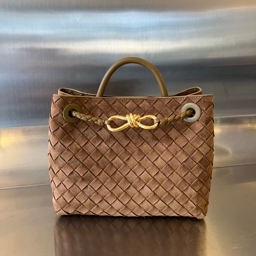 Bottega Veneta Small Andiamo 25 cm
