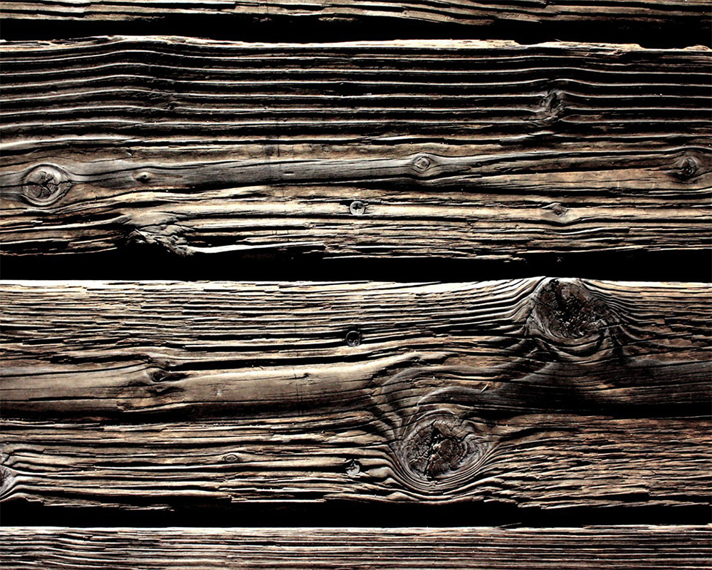 Старое дерево