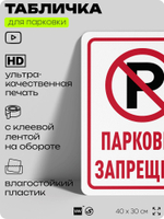 Табличка для парковки "Парковка запрещена", для дома, офиса, организаций, 40х30 см, Silver Plane x Айдентика Технолоджи