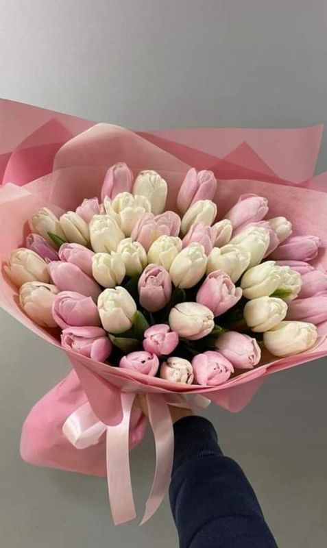 45 Тюльпанов 8 марта Б-486