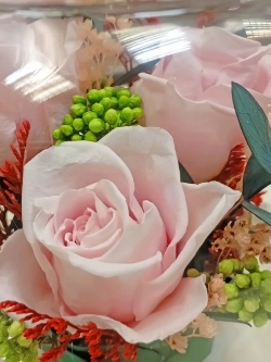 натуральные кустовые розы в стекле, вакуум