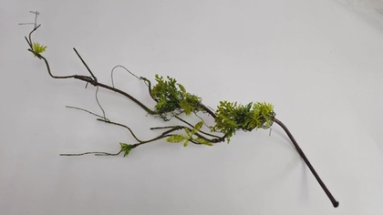 Коряга / Арт 9047