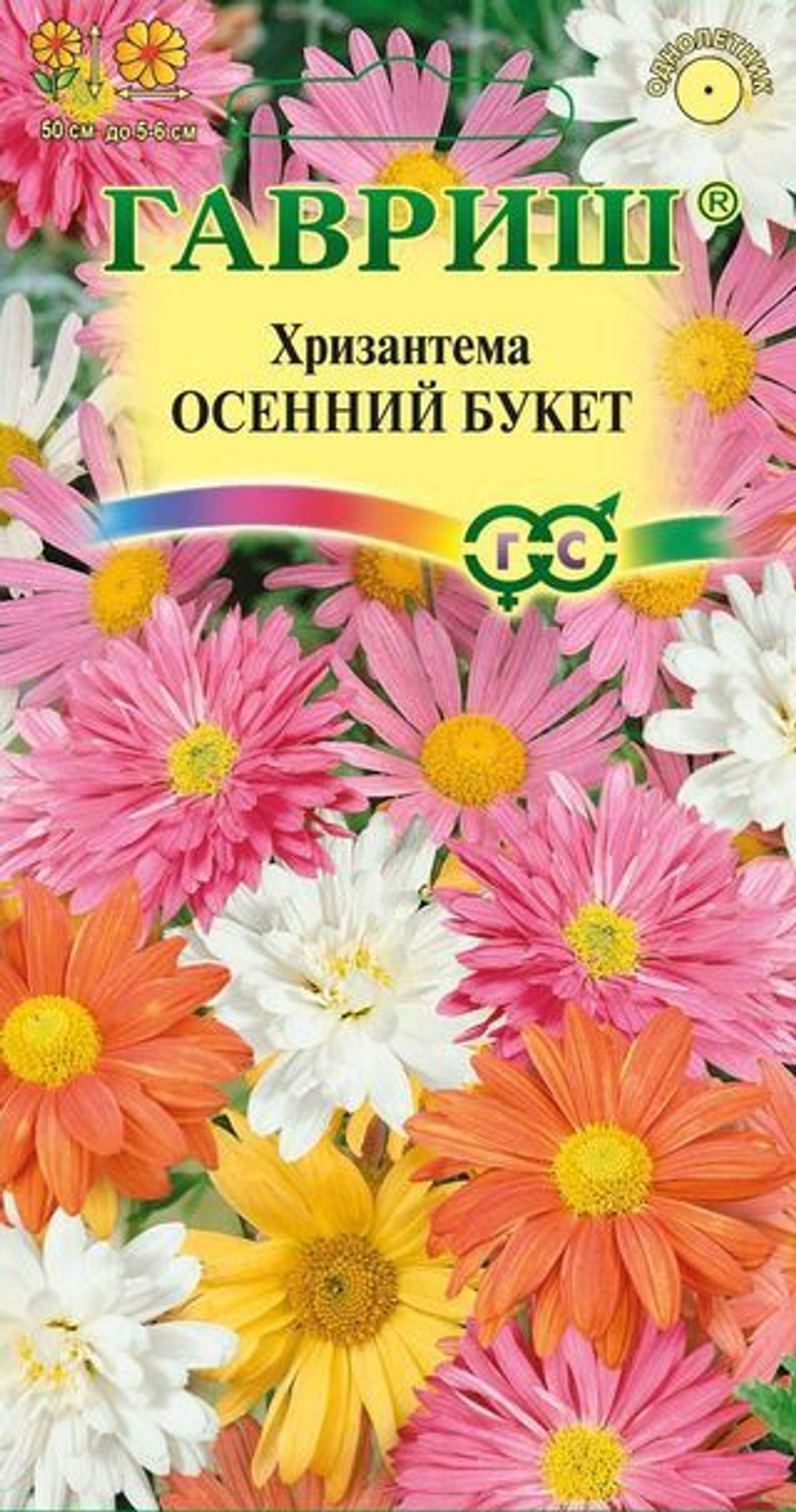 Хризантема Осенний букет индийская мног. Гавриш