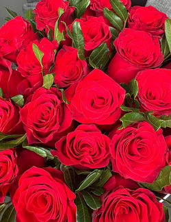 Подарочный набор 21 роза Кения 40 см коробочке