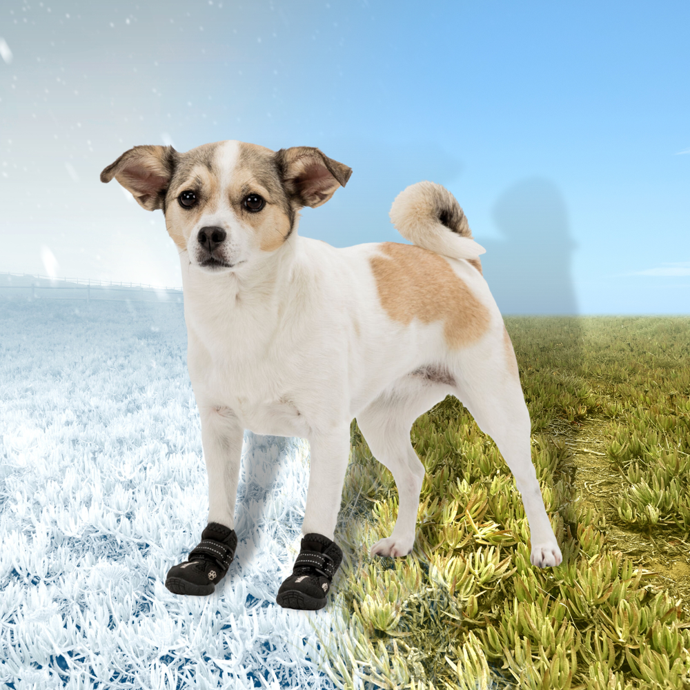 Ботинки для собак Walker Active, 2 шт. Trixie