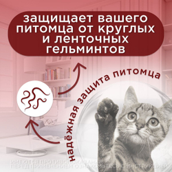 Таблетки от гельминтов для кошек и собак Чистотел Глистогон,6т Празиквантел/Пирантел