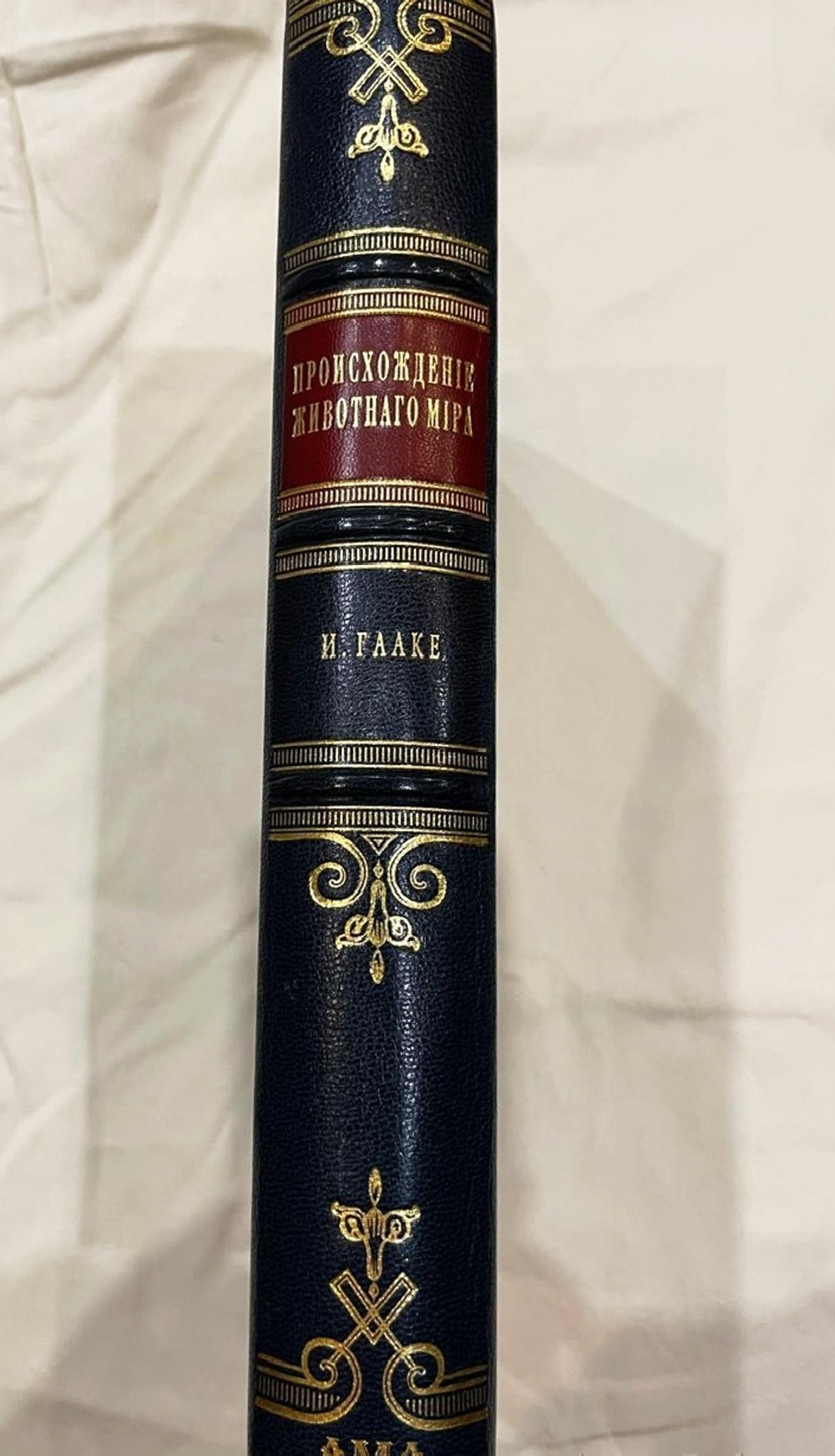 "Происхождение животного мира". 1902г.