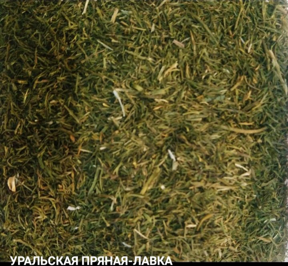 Укроп зелень 100 гр