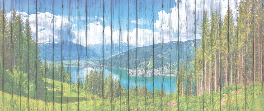 Коллекция Пейзаж