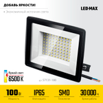 STAYER LED-MAX, 100 Вт, 6500K, IP 65, светодиодный прожектор (57131-100)