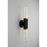 Настенный светильник Aployt Brynia APL.307.31.02