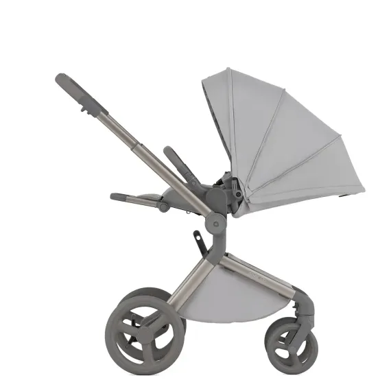 Коляска ANEX Flo 3 в 1 Frossy