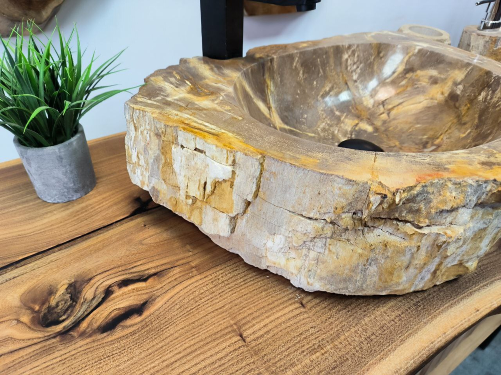 Раковина из окаменелого дерева OD-65679 52х40х15 из натурального камня