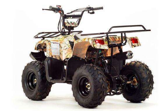 Квадроцикл MOTOLAND 110 Rider (2021 Г.)