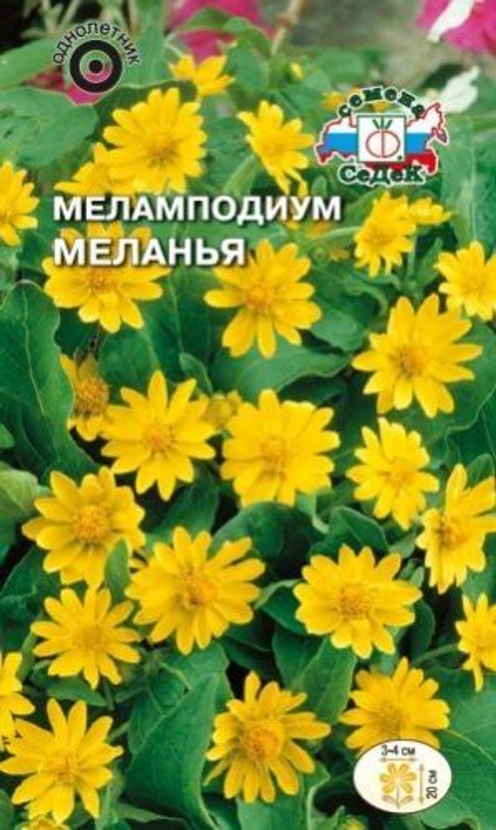 Меламподиум Меланья, 0,1 г (СеДек)
