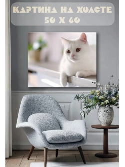 Картина на стену 40 X 50 Кошка