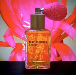 Paragon Perfumes Night Blooming Cereus