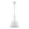 Подвесной светильник Vele Luce Si VL2191P01