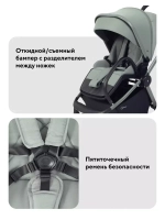 Коляска 2 в 1 Rant Flex Soft Therm