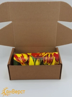 Тюльпаны луковицы многоцветковые Аутбрек на посадку