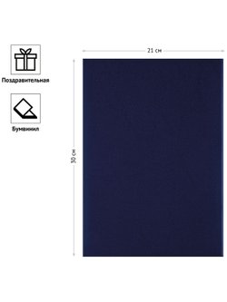 Папка адресная без надписей А4