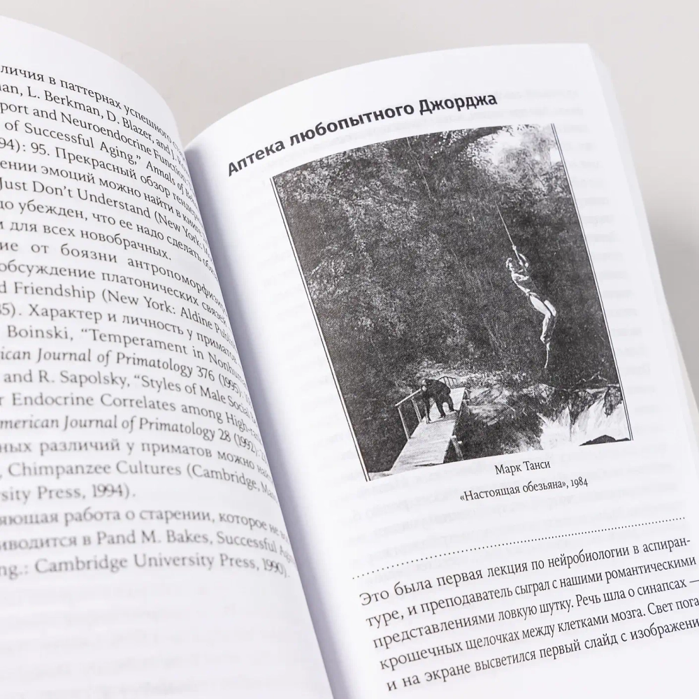 Игры тестостерона и другие вопросы биологии поведения