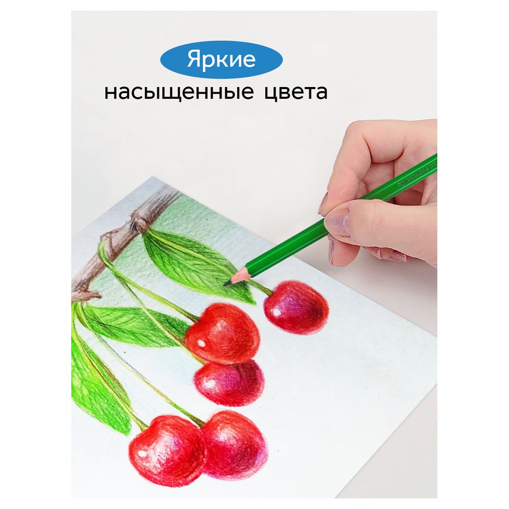 Карандаши цветные 24цв. Гамма Классические 050918_04_04