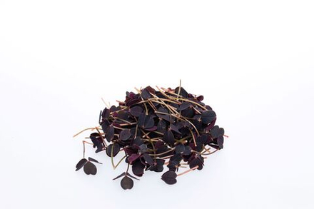 Кислица (10гр)