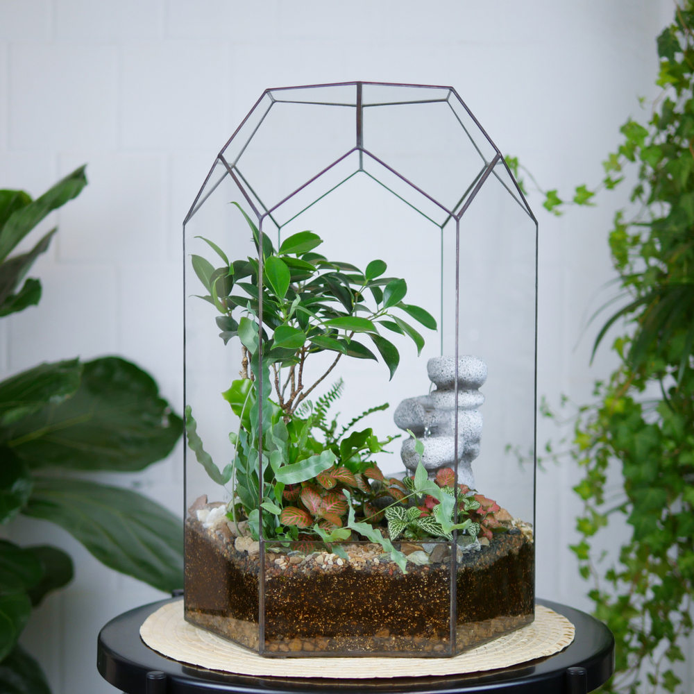 Флорариум с водопадом бонсай Фикус