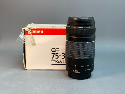 Canon EF 75-300mm 4-5.6 III