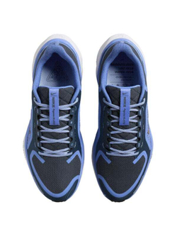 Кроссовки Nike Air Zoom Pegasus 41 Gore-Tex Cobalt