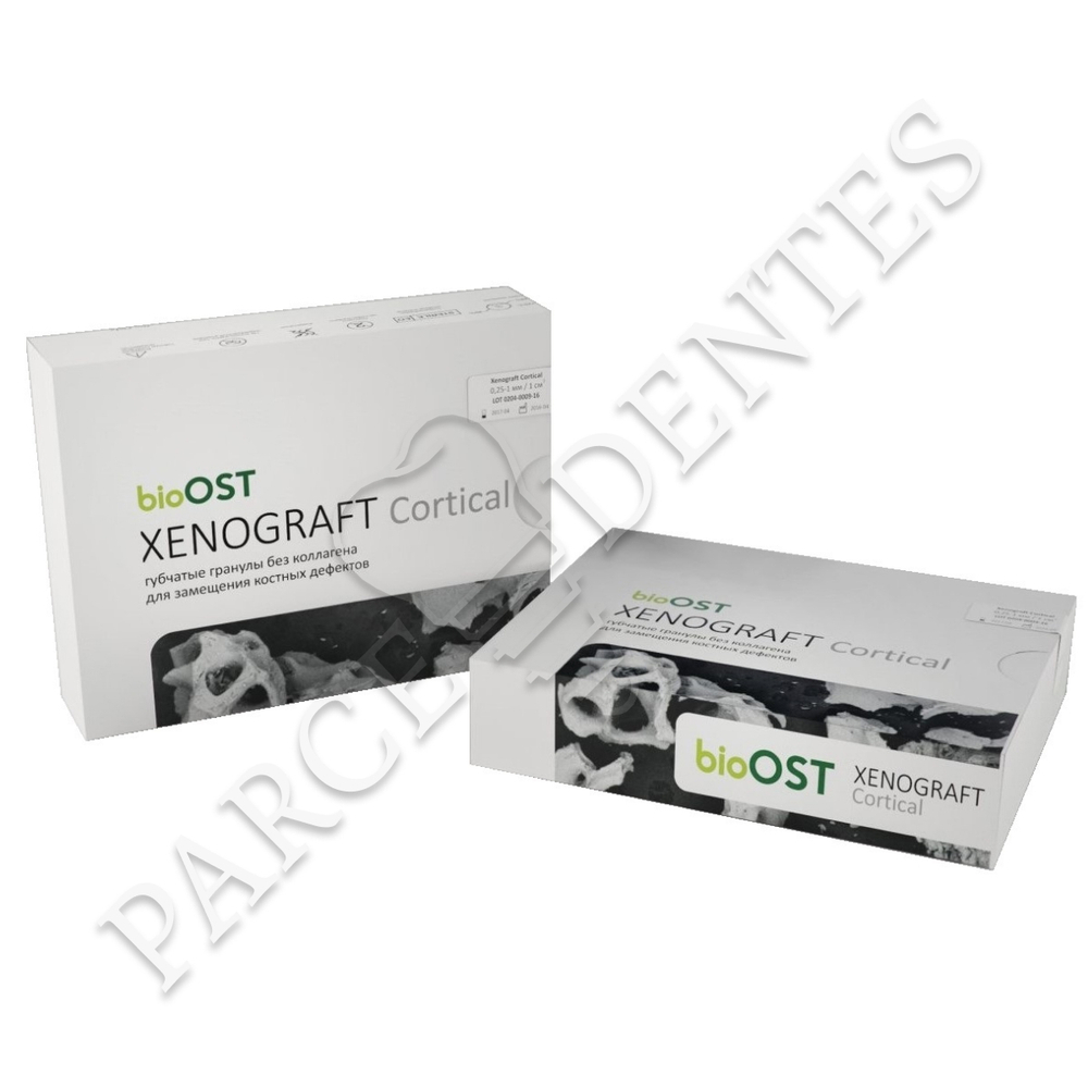 Кортикальные гранулы Xenograft Cortical для регенерации кости