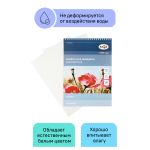 Альбом для акварели А4, 20л, на спирали, среднее зерно 200гр/м, Гамма Студия