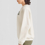 Толстовки THE NORTH FACE Logo, NF0A5JXC-N3N