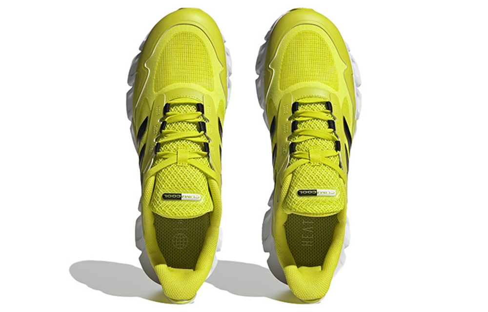 Кроссовки Adidas Climacool